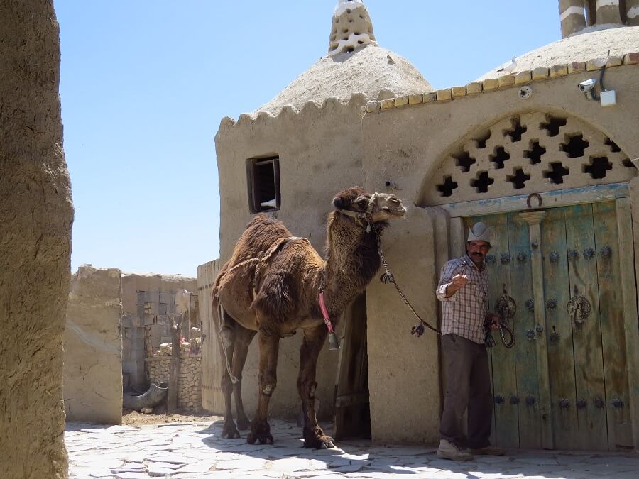 Camel mill 4 - آسیاب شتر ورزنه